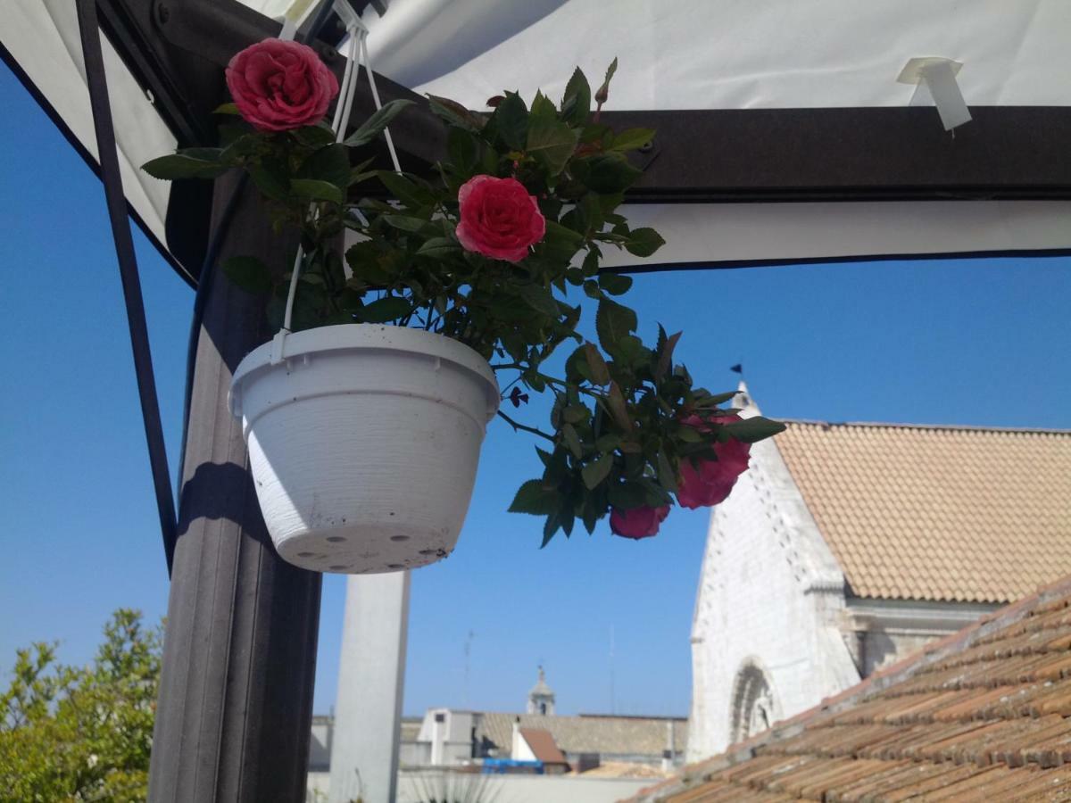 Mansarda Romantica "Il Nido Delle Rondini" Conversano Exterior foto