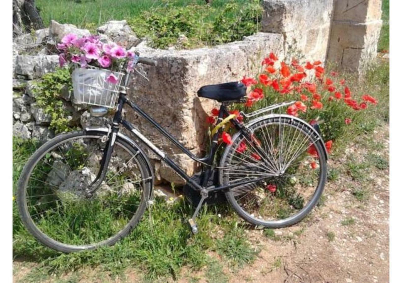 Mansarda Romantica "Il Nido Delle Rondini" Conversano Exterior foto